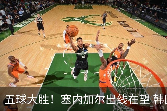 五球大胜！塞内加尔出线在望 韩国晋级仅剩理论希望