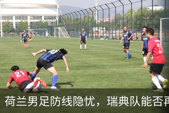 荷兰男足防线隐忧，瑞典队能否再续佳绩？